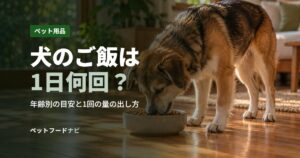 犬のご飯は1日何回？