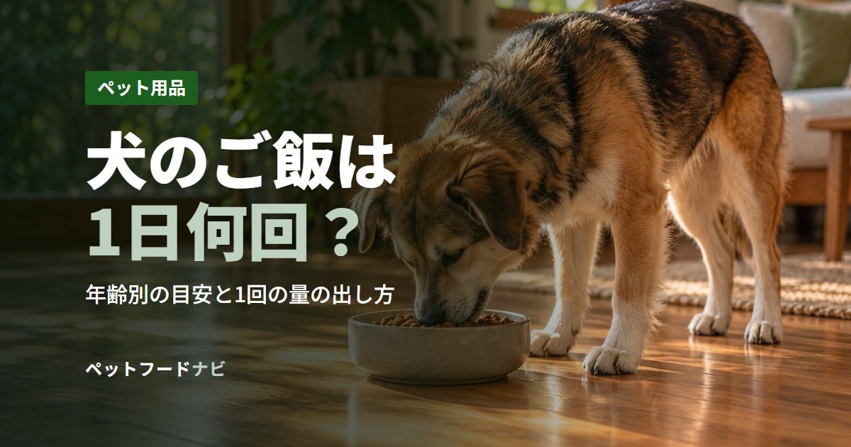 犬のご飯は1日何回？
